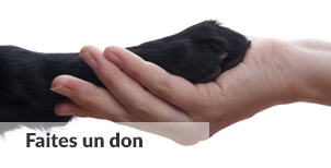 Faites un don | Carrefour Canin